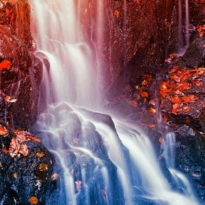 Meet your Posher, Rolanda